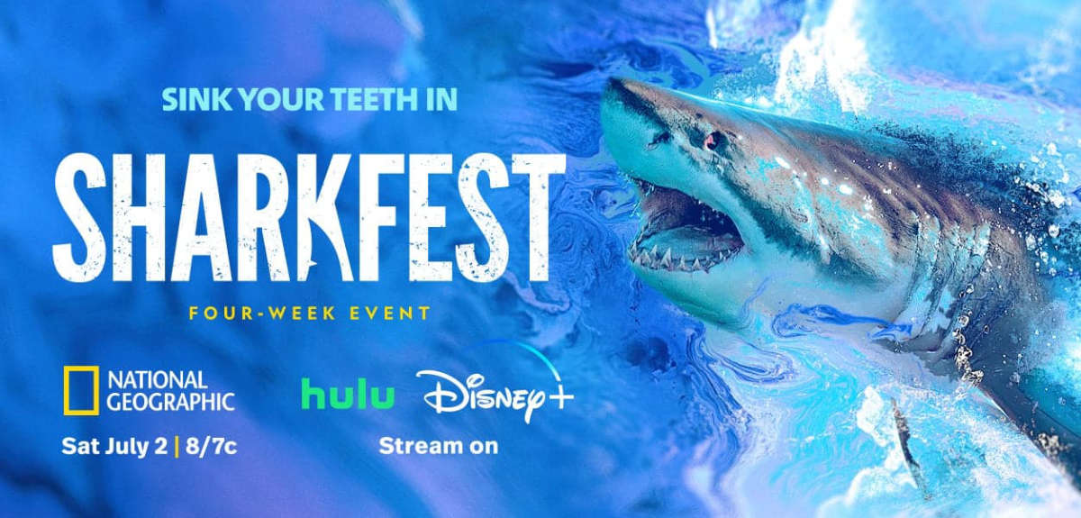 Sharkfest 2023 Schedule Announced
